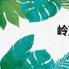 嶺頂（關(guān)于嶺頂簡介）