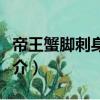 帝王蟹腳刺身拼盤（關(guān)于帝王蟹腳刺身拼盤簡介）