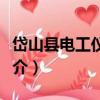 岱山縣電工儀器廠（關于岱山縣電工儀器廠簡介）