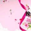 挽香（關(guān)于挽香簡介）