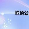 嶺頂公園（關(guān)于嶺頂公園簡介）