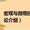 宏觀與微觀經(jīng)濟(jì)理論（關(guān)于宏觀與微觀經(jīng)濟(jì)理論介紹）