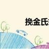 挽金氏婦（關(guān)于挽金氏婦簡介）