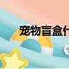 寵物盲盒什么意思（寵物盲盒的意思）