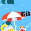 嶺鎮(zhèn)榮（關(guān)于嶺鎮(zhèn)榮簡介）