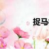 捉馬村（關(guān)于捉馬村簡(jiǎn)介）