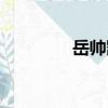 岳帥凱（關(guān)于岳帥凱簡介）