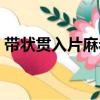 帶狀貫入片麻巖（關于帶狀貫入片麻巖簡介）