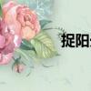 捉陽(yáng)光（關(guān)于捉陽(yáng)光簡(jiǎn)介）