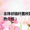 念珠狀鏈桿菌所致的鼠咬熱（關(guān)于念珠狀鏈桿菌所致的鼠咬熱介紹）