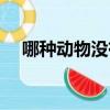 哪種動物沒有方向感（腦筋急轉彎大全）