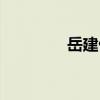 岳建偉（關于岳建偉簡介）