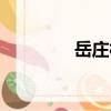 岳莊村（關(guān)于岳莊村簡(jiǎn)介）