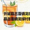 忻城縣古蓬鎮(zhèn)龍球村新時(shí)代文明實(shí)踐志愿服務(wù)隊(duì)（關(guān)于忻城縣古蓬鎮(zhèn)龍球村新時(shí)代文明實(shí)踐志愿服務(wù)隊(duì)介紹）