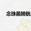念珠菌膀胱炎（關(guān)于念珠菌膀胱炎介紹）