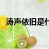 濤聲依舊是什么意思（濤聲依舊簡(jiǎn)單介紹）