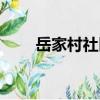 岳家村社區(qū)（關于岳家村社區(qū)簡介）