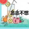 念念不想忘（關(guān)于念念不想忘介紹）