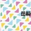 岳嗣儀（關(guān)于岳嗣儀簡介）