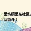 岳坊鎮(zhèn)岳東社區(qū)志愿服務隊（關于岳坊鎮(zhèn)岳東社區(qū)志愿服務隊簡介）