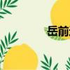 岳前進（關(guān)于岳前進簡介）