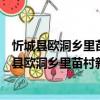 忻城縣歐洞鄉(xiāng)里苗村新時(shí)代文明實(shí)踐志愿服務(wù)隊(duì)（關(guān)于忻城縣歐洞鄉(xiāng)里苗村新時(shí)代文明實(shí)踐志愿服務(wù)隊(duì)介紹）