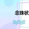 念珠狀發(fā)（關(guān)于念珠狀發(fā)介紹）
