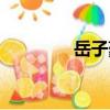 岳子豪（關(guān)于岳子豪簡(jiǎn)介）