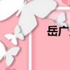岳廣義（關(guān)于岳廣義簡(jiǎn)介）