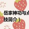 岳家神功與點(diǎn)穴絕技（關(guān)于岳家神功與點(diǎn)穴絕技簡介）