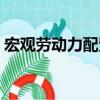 宏觀勞動(dòng)力配置（關(guān)于宏觀勞動(dòng)力配置介紹）