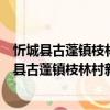 忻城縣古蓬鎮(zhèn)枝林村新時(shí)代文明實(shí)踐志愿服務(wù)隊(duì)（關(guān)于忻城縣古蓬鎮(zhèn)枝林村新時(shí)代文明實(shí)踐志愿服務(wù)隊(duì)介紹）