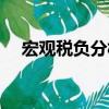 宏觀稅負分析（關(guān)于宏觀稅負分析介紹）
