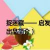捉迷藏—— 啟發(fā)童書館出品（關(guān)于捉迷藏—— 啟發(fā)童書館出品簡介）