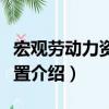 宏觀勞動(dòng)力資源配置（關(guān)于宏觀勞動(dòng)力資源配置介紹）