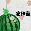 念珠菌尿（關(guān)于念珠菌尿介紹）