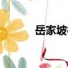 岳家坡村（關(guān)于岳家坡村簡(jiǎn)介）