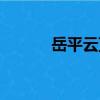 岳平云頂（關(guān)于岳平云頂簡(jiǎn)介）