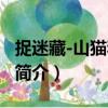 捉迷藏-山貓和吉咪（關(guān)于捉迷藏-山貓和吉咪簡介）