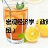宏觀經(jīng)濟(jì)學(xué)：政策與實(shí)踐（關(guān)于宏觀經(jīng)濟(jì)學(xué)：政策與實(shí)踐介紹）
