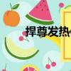 捍尊發(fā)熱體（關于捍尊發(fā)熱體簡介）