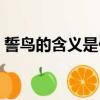 誓鳥的含義是什么（關于誓鳥的含義的介紹）