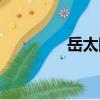 岳太陽(yáng)（關(guān)于岳太陽(yáng)簡(jiǎn)介）