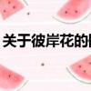 關于彼岸花的網名（30個關于彼岸花的網名）
