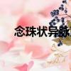 念珠狀異脈蕨（關(guān)于念珠狀異脈蕨介紹）