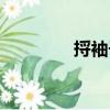 捋袖子（關(guān)于捋袖子簡(jiǎn)介）