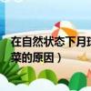 在自然狀態(tài)下月球上能不能種菜（在自然狀態(tài)下月球不能種菜的原因）