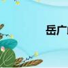 岳廣歧（關(guān)于岳廣歧簡(jiǎn)介）