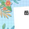 岳巍（關(guān)于岳巍簡介）