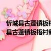忻城縣古蓬鎮(zhèn)板梧村新時(shí)代文明實(shí)踐志愿服務(wù)隊(duì)（關(guān)于忻城縣古蓬鎮(zhèn)板梧村新時(shí)代文明實(shí)踐志愿服務(wù)隊(duì)介紹）